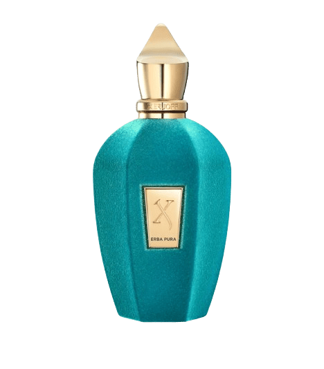 Badshah Scents is a leading retailer offering a selection of brands. Shop at https://badshahscents.us/ XERJOFF